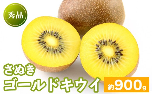 10月中旬～ 先行予約 キウイフルーツ さぬきゴールド 約900g  果物 フルーツ キウイ ゴールドキウイ イエローキウイ デザート スイーツ ケーキ ジュース ゼリー アイス シャーベット ジェラ