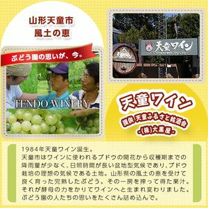 天童ワイン 赤白 セット 地酒 赤ワイン 白ワイン 08-17-003
