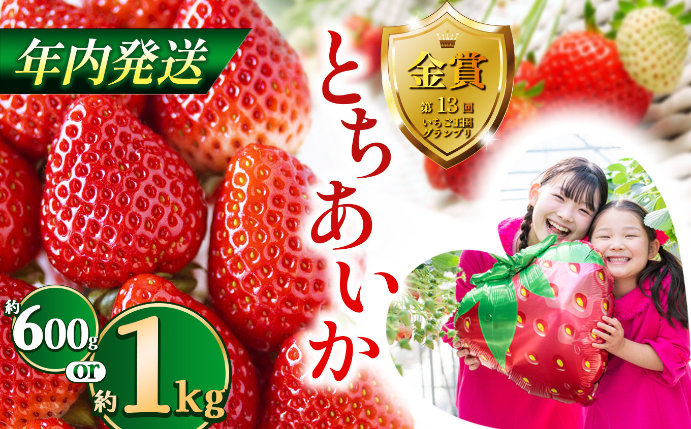 
            【先行予約】【12月発送】とちあいか約600g、1kg | 選べる内容量 送料無料 とちあいか いちご フルーツ 甘い ジューシー苺 ｲﾁｺﾞ ハート ハート型 ﾊｰﾄ 断面 果物 おいしい 栃木県 下野市
          