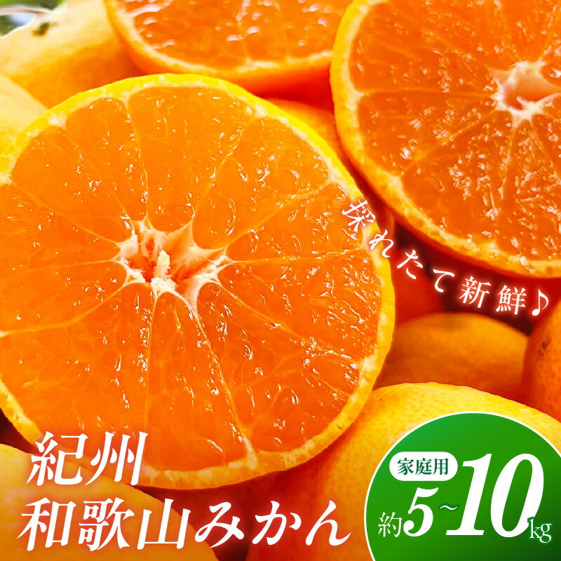 【ふるさと納税】【産地直送】ご家庭用紀州和歌山みかん 約5kg 10kg《先行予約》