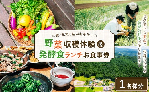 
                  ＼食と元気を結ぶお手伝い／農村レストラン 飛火鞍 収穫体験＆発酵食ランチのお食事チケット 1名様分 〔P-434〕 | 野菜 やさい 収穫体験 ランチ 発酵食 体験 お食事券 農業体験 那須町 栃木県
                