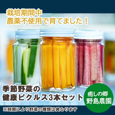 
                  ＜東京都東久留米市＞季節の野菜を詰め込んだ健康ピクルス 150g×3本【1461149】
                