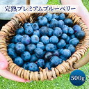 【ふるさと納税】完熟プレミアムブルーベリー 約500g（約125gx4パック）　【綾瀬市】　お届け：2024年6月1日～6月30日まで