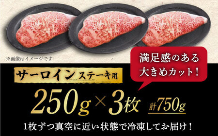 【飛騨牛】A4等級以上 サーロイン ステーキ用 3枚（計750g）【肉の丸長】 和牛 ブランド牛 国産  [TAZ001]