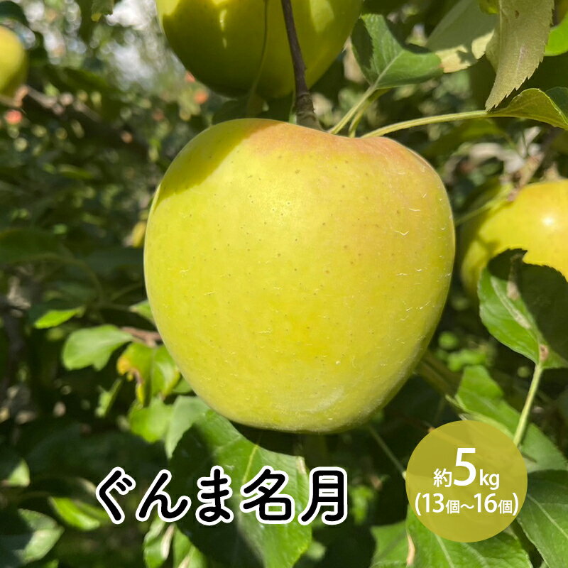 【ふるさと納税】ぐんま名月約5kg（13個～16個） 　お届け：2025年11月上旬～11月中旬まで