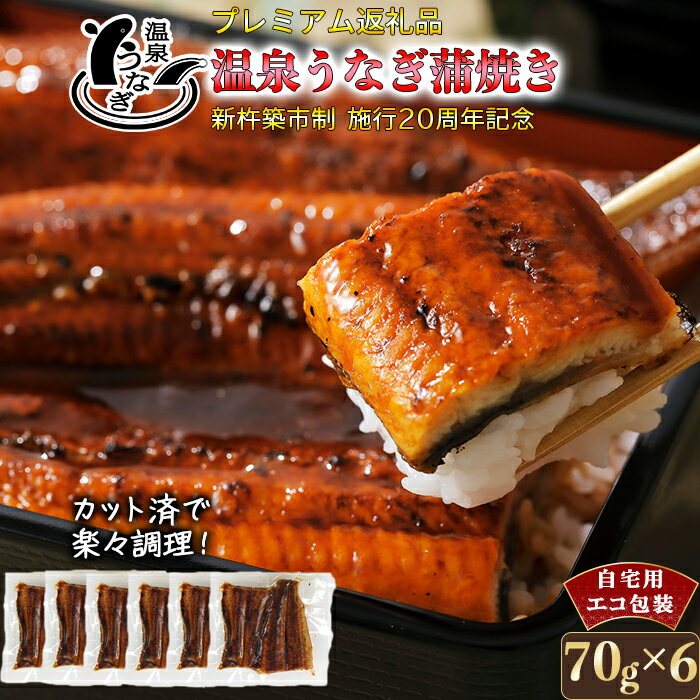 【ふるさと納税】 完全無投薬養殖！大分水産の温泉うなぎ蒲焼（カット）70g×6 自宅用 エコ包装 ＜104-063＞