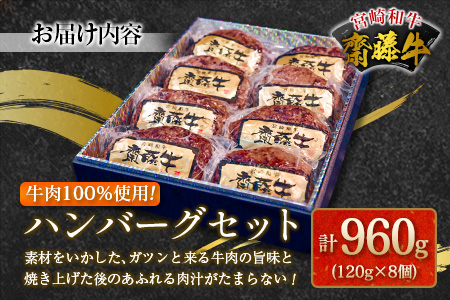 齋藤牛 ハンバーグセット（120g×8個）計960g【B549】