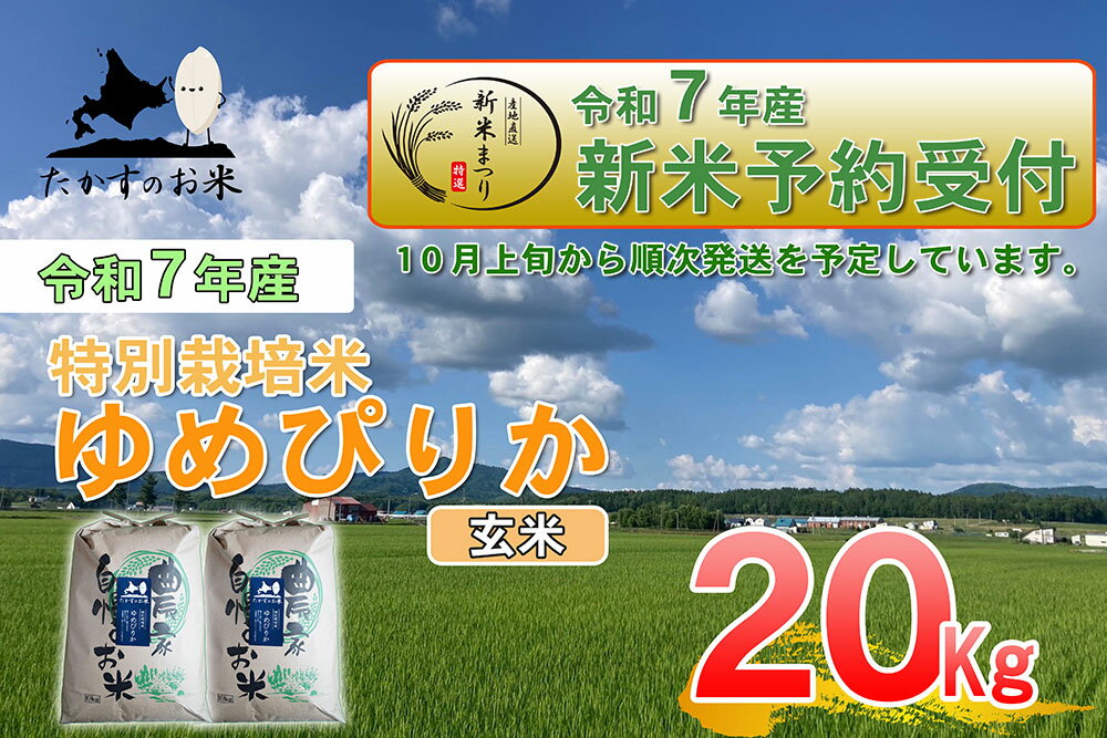【ふるさと納税】【令和7年産】 ゆめぴりか (玄米) 北海道 米 を代表する人気の品種 10kg×2袋 20kg 北海道 鷹栖町 たかすのお米 米 コメ こめ ご飯 玄米 お米 ゆめぴりか コメ 玄米 送料無料【2025年10月上旬発送開始】