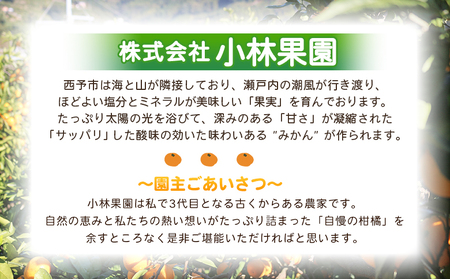 先行予約＜愛媛県西予市産 温州みかん 小粒サイズ 家庭用 約3.2kg＞ 愛媛県産 西宇和 小玉 小さめ 家庭用 果物 フルーツ 柑橘 うんしゅうみかん ウンシュウミカン オレンジ ミカン 蜜柑 訳あ