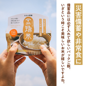 パックごはん白米6個セット：地下水で育てた「金鵄米きんしまい」  9-106