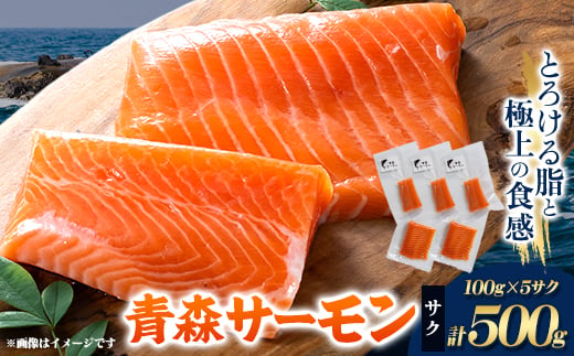 
                  青森サーモン　サク　100g×5サクセット【1734233】
                