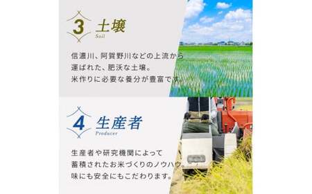 【3か月定期便】R7年産 新潟県産 こしいぶき 5kg （無洗米）