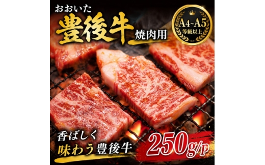 ＜A4～A5＞おおいた豊後牛焼肉用 250g/p【1764380】