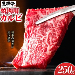くまもと黒毛和牛 黒樺牛 A4～A5等級 焼肉用カルビ 250g 株式会社杉本本店 《90日以内に出荷(土日祝除く)》熊本県 菊池市 牛肉 牛 霜降り 赤身 お肉 焼き肉 BBQ 黒毛和牛 国産 九州産 熊本県産 冷凍 送料無料