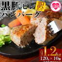 【ふるさと納税】【年内お届け】＜宮崎県産黒豚ヒレハンバーグ120g×10個＞計約1.2kg 国産 宮崎県産 豚肉 ポーク ヒレ肉 肉加工品 牛脂 ハンバーグ 小分け 個包装 簡易包装 冷凍 おかず お弁当 惣菜 レトルト 焼くだけ 簡単調理【MI104-nk】【中村食肉】