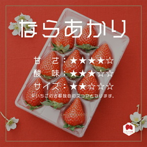 【奈良県知事賞受賞】【食べ比べセット:ギフトボックス】古都華(ことか)1パック・ならあかり1パック|とのあさイチゴ農園 ※2025年1月中旬~5月上旬頃に順次発送予定