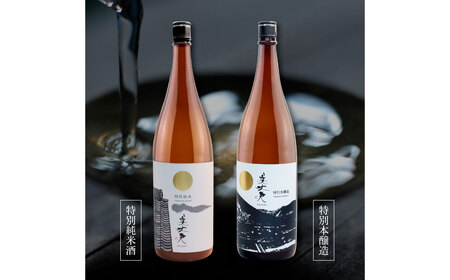 美丈夫 特別純米酒＆特別本醸造 2本セット 1800ml×2本 日本酒【美丈夫】