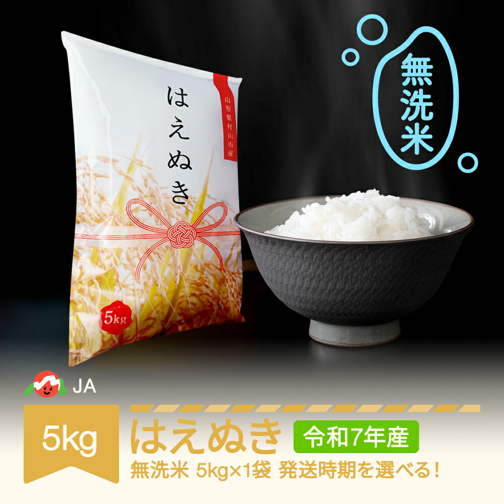 【ふるさと納税】 【先行予約】 新米 米 5kg はえぬき 無洗米 令和7年産 山形県村山市産 送料無料※沖縄・離島への配送不可