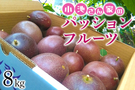 【先行予約 2026年発送】小池さん家の パッションフルーツ 約 8kg 果物 フルーツ くだもの 8キロ 沖縄 果実 南国フルーツ 沖縄県産 美味しい 甘い あまい 酸味 産地直送 農家直送 産直 大容量 沖縄県 糸満市 126-5