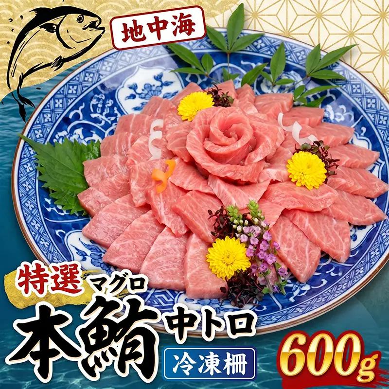 本マグロ 中トロ柵 約600g【まぐろ】tk207 FN-Limited-PR