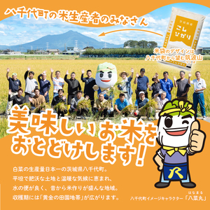 令和6年産米 茨城県産 プレミアム 4品種 食べ比べ セット 20kg（5kg×4袋） 茨城県 八千代町 米 コシヒカリ あきたこまち にじのきらめき ミルキークイーン 食べ比べ 人気  [SF026