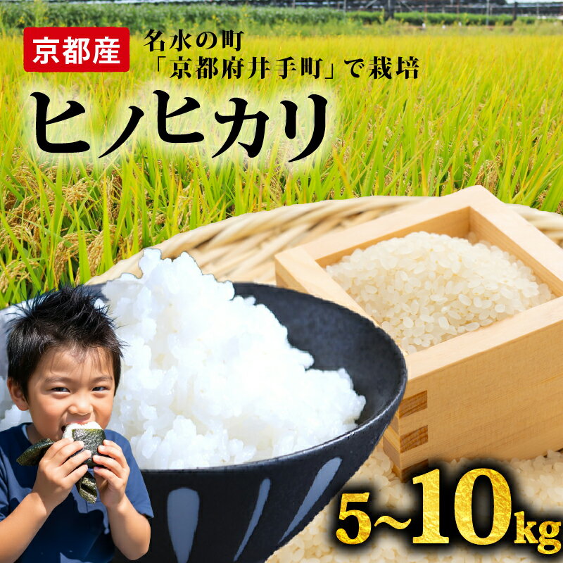 【ふるさと納税】 【先行受付】ヒノヒカリ 令和7年産 選べる 5kg 10kg 定期便 6ヶ月 12ヶ月 新米 精米 白米 令和7年 5キロ 10キロ お米 米 こめ ご飯 おにぎり 弁当 産地直送 国産 京都産 井手町