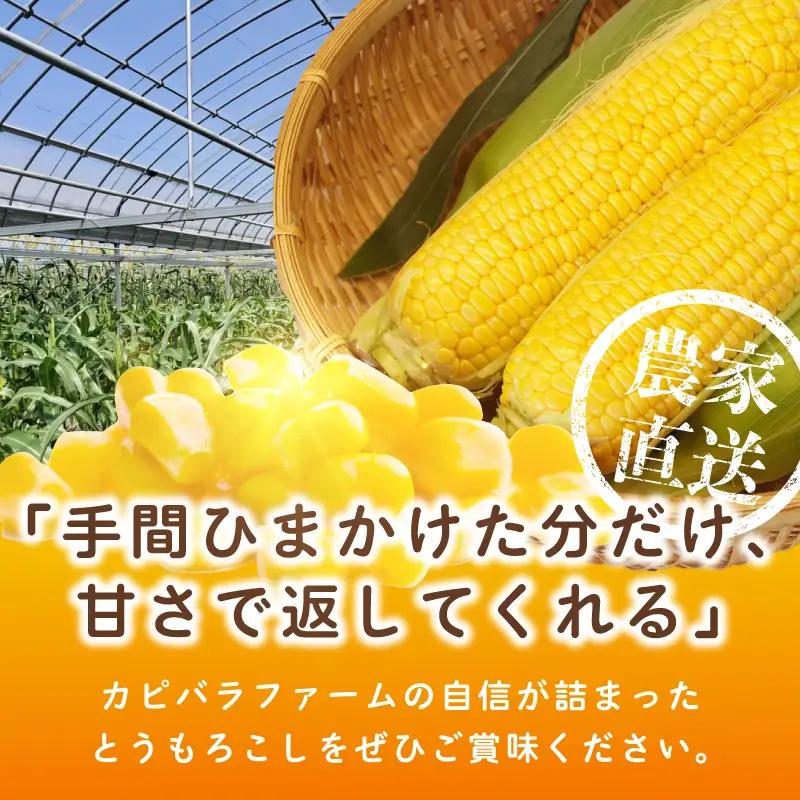【先行予約】とうもろこし(ゴールドラッシュ ネオ) 約2.5kg（7～8本）