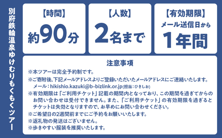 【完全予約制】別府鉄輪温泉ゆけむりもくもくツアー_B097-035