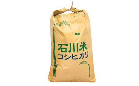【定期便】令和7年産 コシヒカリ 精米10kg×3ヶ月（毎月）お米 白米 こしひかり｜石川県 小松市【元田農産】