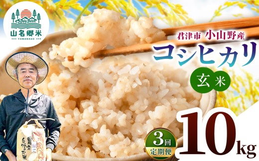 【定期便3回】 米 コシヒカリ 新米 令和8年産 特A 玄米 10kg 定期便 3回 合計30kg 千葉県産 国産 | あかかげ農園 山名郷米 こしひかり お米 コメ こめ おこめ 小山野産 単一原料米 ふっくら もちもち 甘み おにぎり お弁当 ごはん ご飯 千葉県 君津市 きみつ