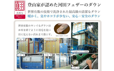 【ブルー系】羽毛布団 超軽量 柄任せ 綿100% 羽毛布団 シングル 掛け布団 羽毛布団 羽毛 日本製 冬 毛布 保温 あったかい 抗菌 防臭 広島県福山市/株式会社ハシモト[BACV018]