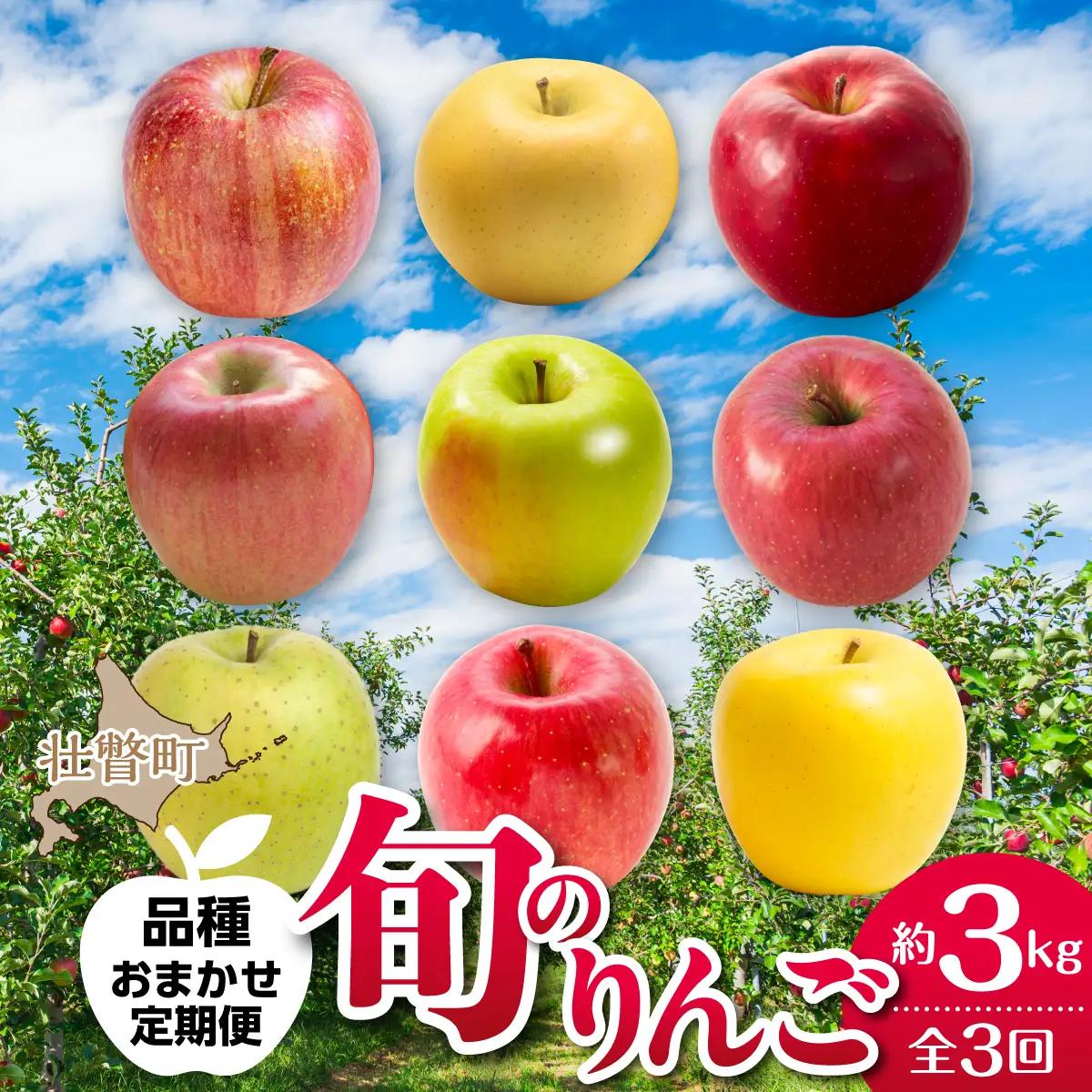 【先行予約】＜10･11･12月お届け＞北海道壮瞥町　旬のりんご約3kg　おまかせ定期便 SBTF031