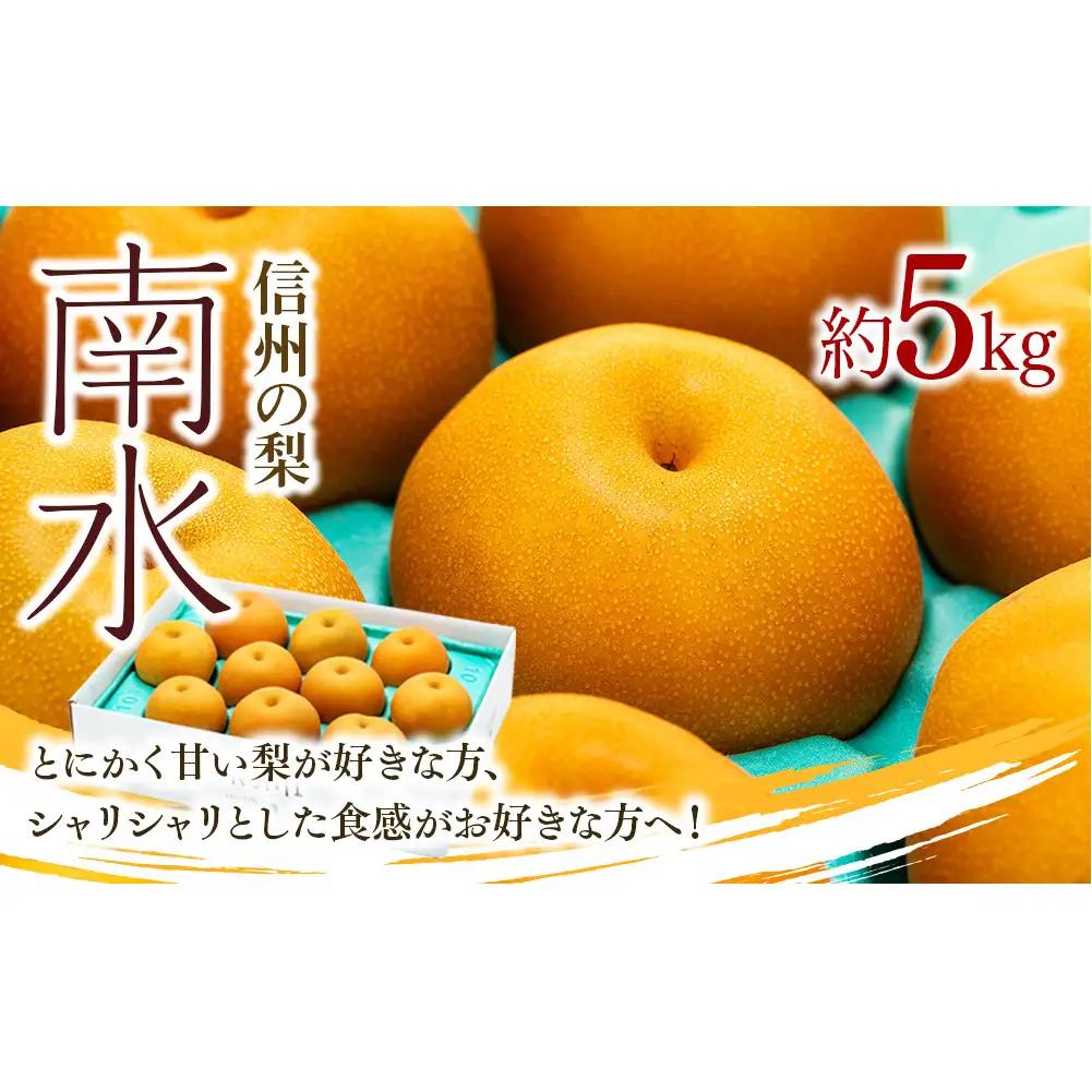 梨 南水 約5kg 2026年 令和8年発送 信州産 産地直送 梨