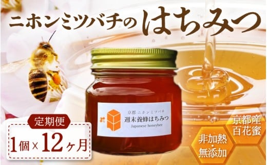 【定期便】 ニホンミツバチのはちみつ 300g×12回 | 京都産 非加熱 国産 百花蜜 自然のままの純粋蜂蜜 はちみつ ハチミツ 蜂蜜 ハニー 瓶詰 （週末養蜂） 毎月定期便 12回定期便