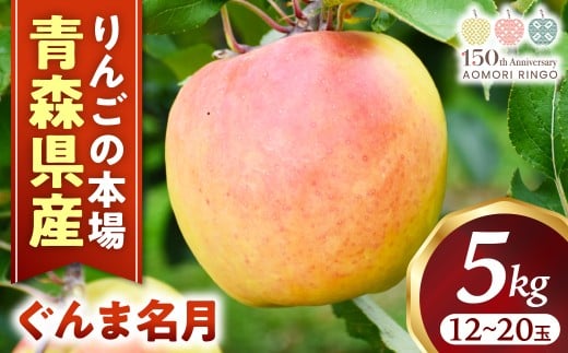 りんご【ぐんま名月】約5kg（12～20玉）【2025年産・先行予約】★2025年11月上旬～12月下旬頃まで発送予定★ りんご 林檎 リンゴ 国産 ぐんま名月 フルーツ 果物 贈答 土産 青森県 三戸町 R0113