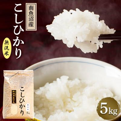 ふるさと納税 南魚沼市 【令和8年産 新米】南魚沼産コシヒカリ(無洗米)【5kg】新潟県の特A地区南魚沼市の美味しいお米