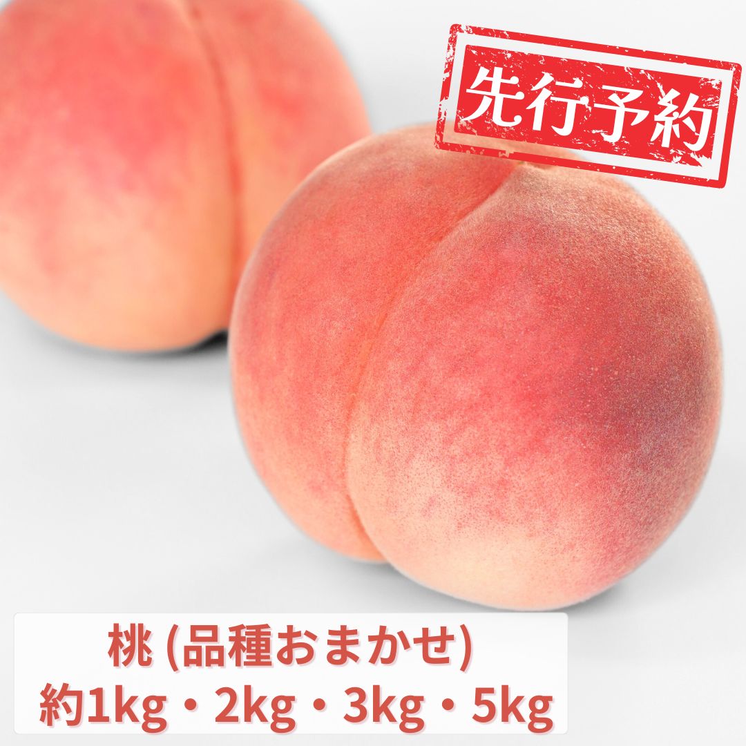 【ふるさと納税】先行予約 桃 (品種おまかせ) 約1kg・2kg・3kg・5kg[2026年発送分] 令和8年産 新潟フルーツ 新潟県産桃 [石田フルーツガーデン]