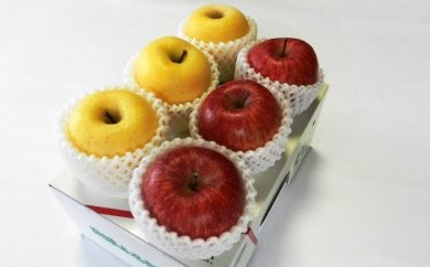 08-02-027　紅黄りんごセット2kg