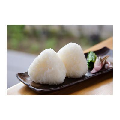 ふるさと納税 十日町市 【令和6年産】江戸伝承極上米(有機米)　有機JAS認証魚沼産コシヒカリ5kg |  | 01