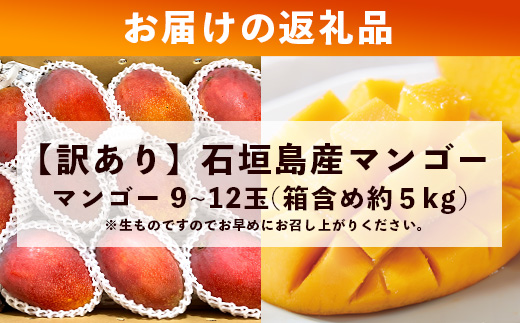 2026年発送分【先行予約】【訳あり】石垣島産 マンゴー (アーウィン種) 9～12玉(箱含め約5kg) 《2026年7月以降より順次発送》《樹齢30年の木で育ったマンゴー》｜産地直送 沖縄 石垣島 
