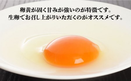 【黄身がつかめる最高級の卵】【3回定期便】かきやまの「地養卵」 Mサイズ 90個×3回定期便＜垣山養鶏園＞ [CBB006]