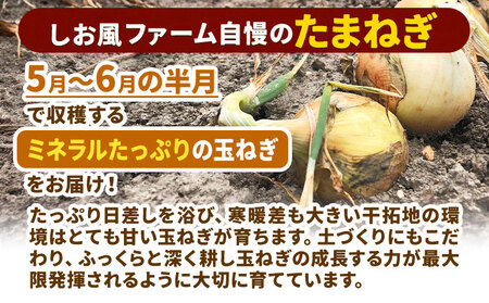 たまねぎ【2025年先行予約分】しお風たまねぎ 約5kg《2025年6月上旬-6月末頃出荷》 玉ねぎ たまねぎ 野菜 青果物 岡山県 笠岡市 玉ねぎ 5kg たまねぎ 玉葱 通常のたまねぎ