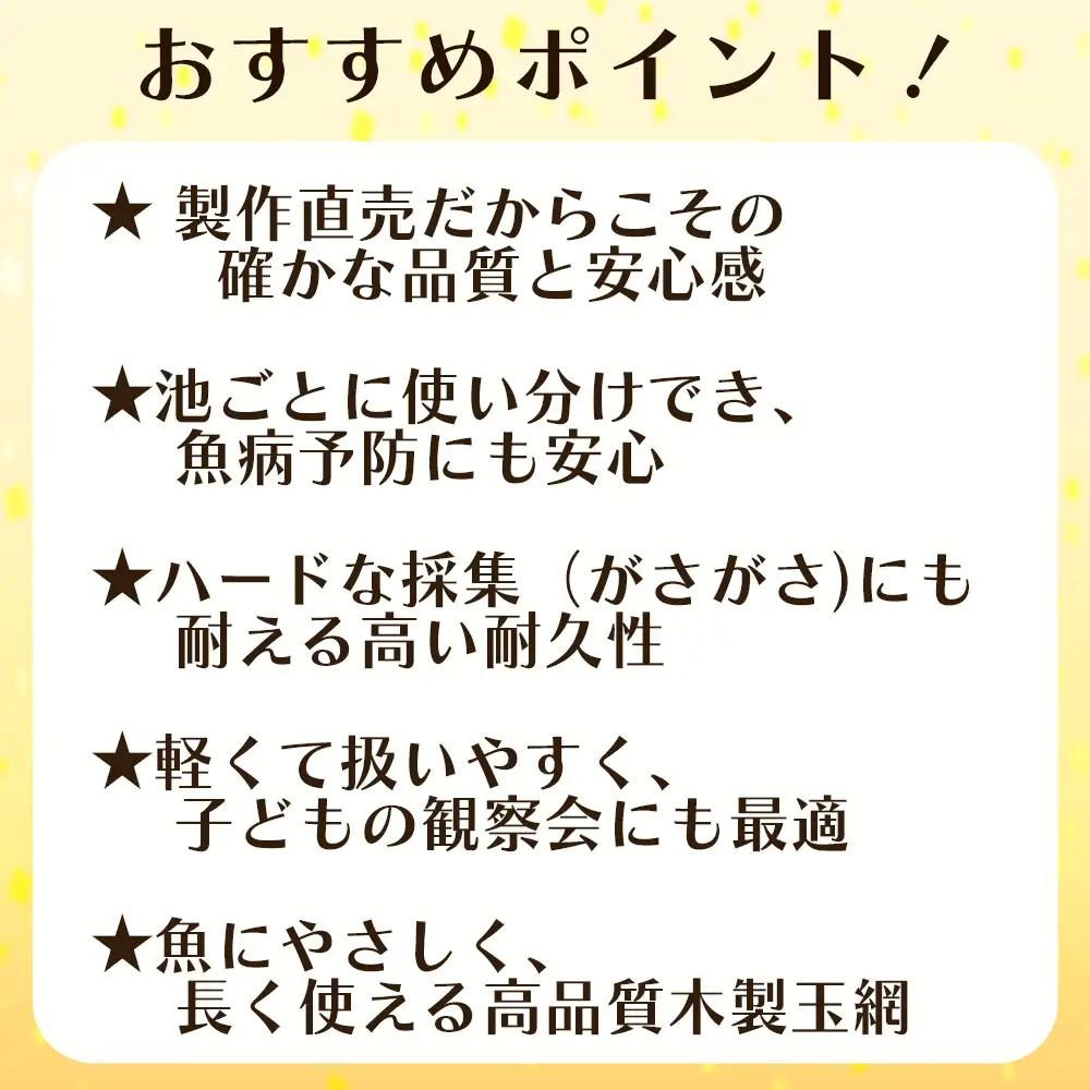 養魚用ステンレス二重枠三角玉網（BL－35－3）首補強有 No.544