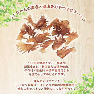 ペット 犬用おやつ とさか細切り 100g ペット ペット ペット ペット ペット KT048