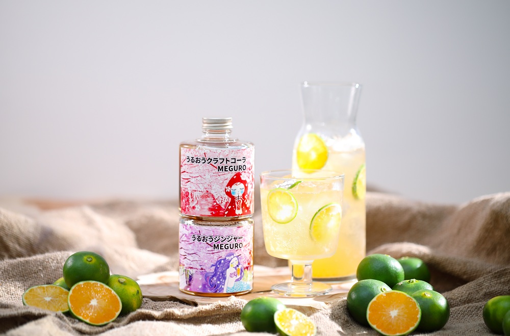薬膳工房あすごはん　　 うるおうクラフトコーラMEGURO &うるおうジンジャーMEGURO セット（希釈シロップ）