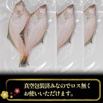 ふるさと納税 若狭町 【3ヵ月毎定期便】かれい一夜干し 1Kg(5〜8尾)全4回 |  | 01
