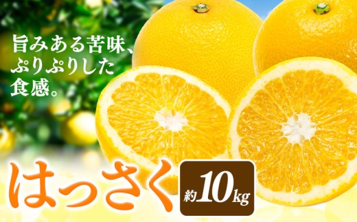 【先行予約】八朔 はっさく 約10kg マルツネ農園《2027年1月中旬-3月下旬頃出荷》 和歌山県 日高川町 旬 果物 フルーツ 柑橘 産地直送