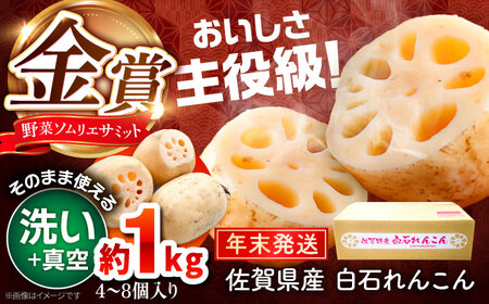 【先行予約】年末発送 金賞れんこん 真空パック 約1kg / れんこん 蓮根 レンコン れんこん れんこん れんこん[IBD018]