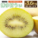 【ふるさと納税】福岡県ブランドキウイフルーツ 「博多甘うぃ」 約3.6kg キウイ キウイフルーツ フルーツ くだもの 果物 あまうぃ 博多あまうぃ 福岡県産 送料無料 【2025年11～12月出荷】[F2218a]