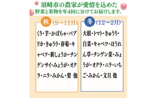 【 定期便 4回 】 野菜 ･ 果物 10 ～ 13 種類 セット | お楽しみ やさい フルーツ セット 旬 春 夏 秋 冬 採れたて 新鮮 農家 直送 詰め合わせ 国産 季節 フレッシュ 果物 フ